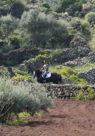 Antiguos caminos de mulas 